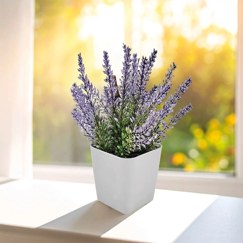 Bitki Yetiştirme Seti