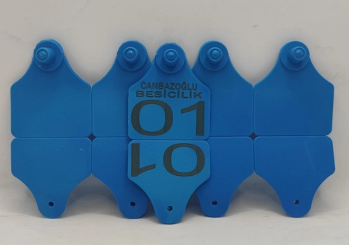 BÜYÜKBAŞ KULAK KÜPESİ