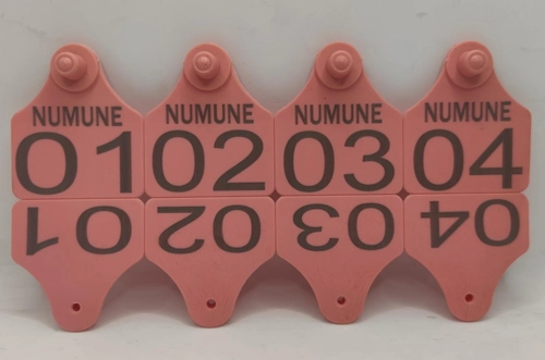 BÜYÜKBAŞ KULAK KÜPESİ